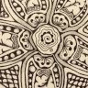 Meet your Posher, Lydia